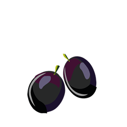 Pruneau-Icone