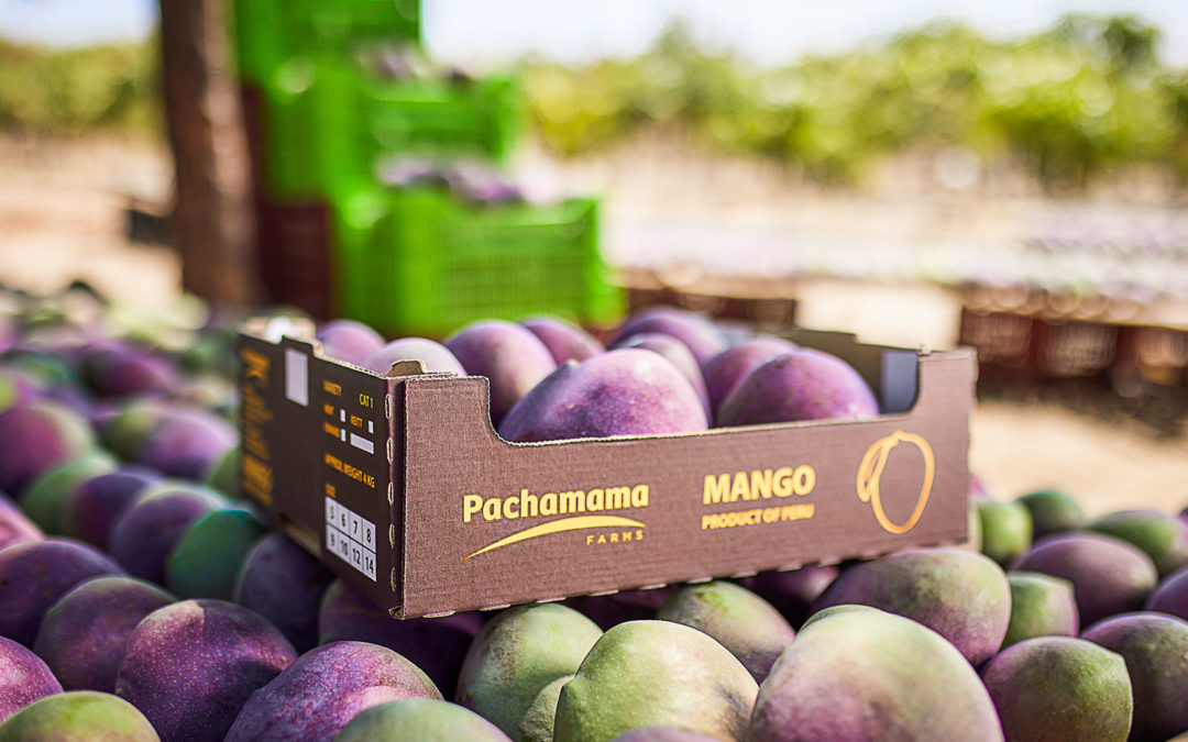 D’où proviennent nos fruits ?