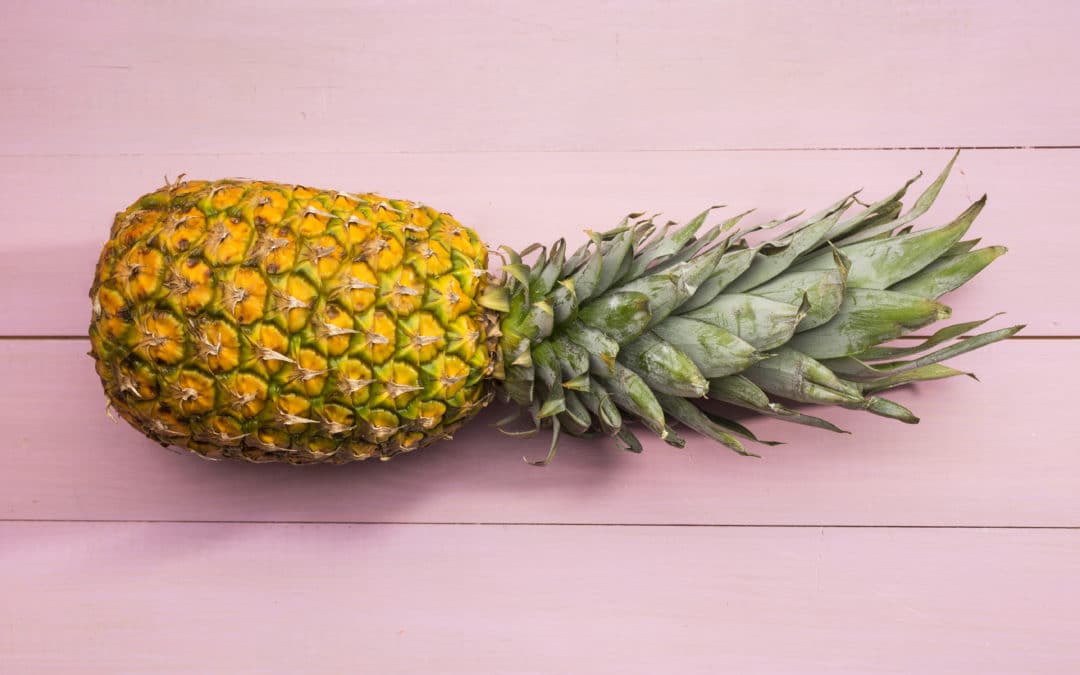 Les origines de l&rsquo;Ananas